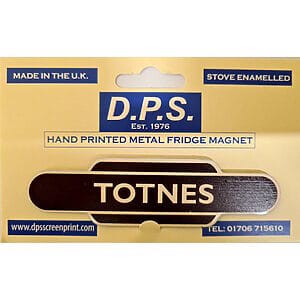 DPS - Totnes - Station Totem Fridge Magnet
